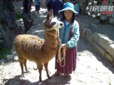 Titicaca - Devojčica sa lamom   