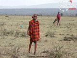 Maasai Pleme   