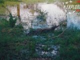 Pantanal - Anakonda vs. Krokodil