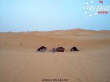 Sahara - Beduini   